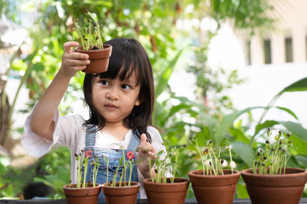 Playgrounds & Gardens With Space To Explore